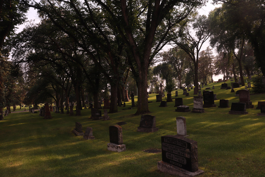 Connection With Your Ancestors