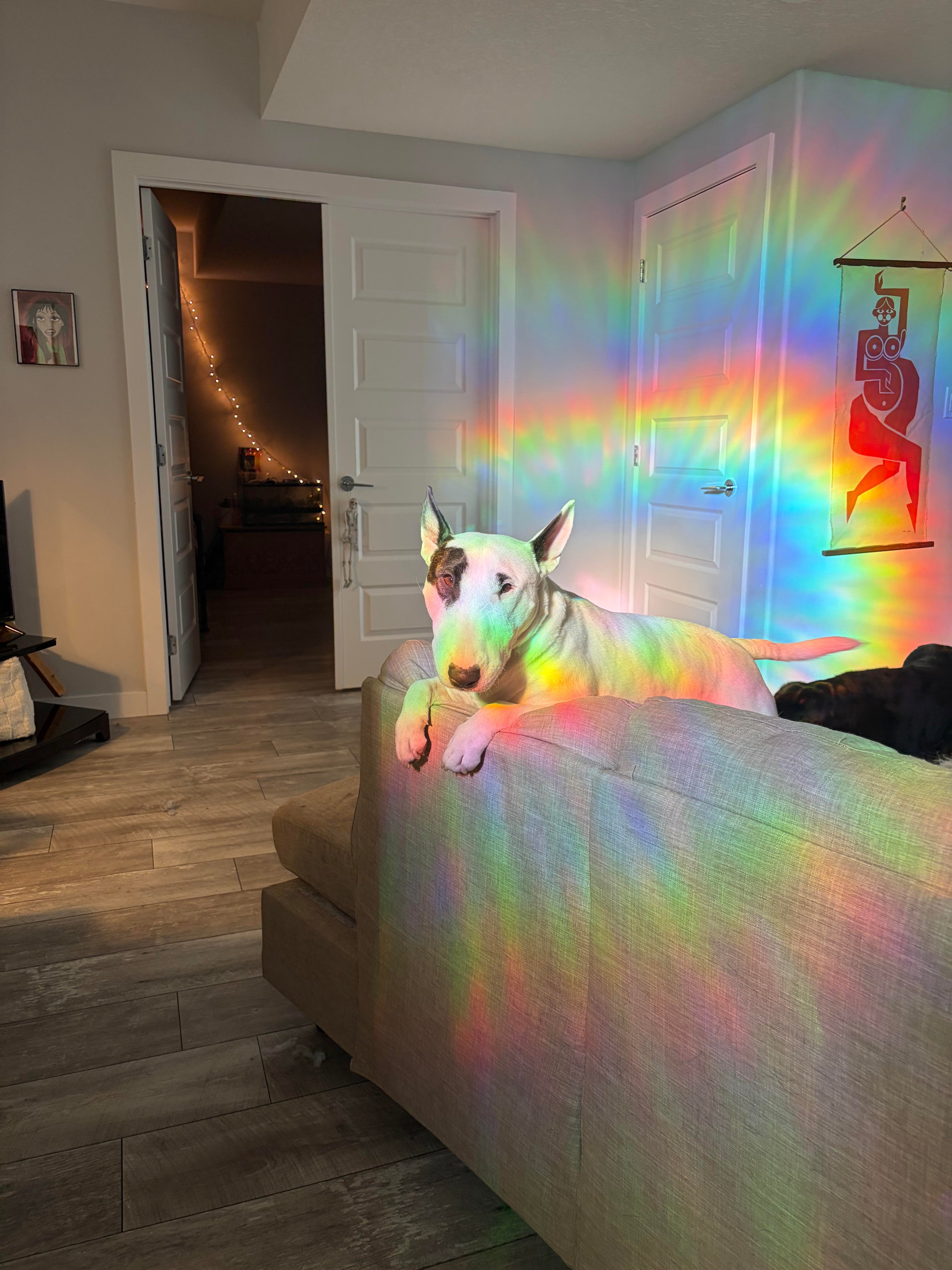 Colour Magick