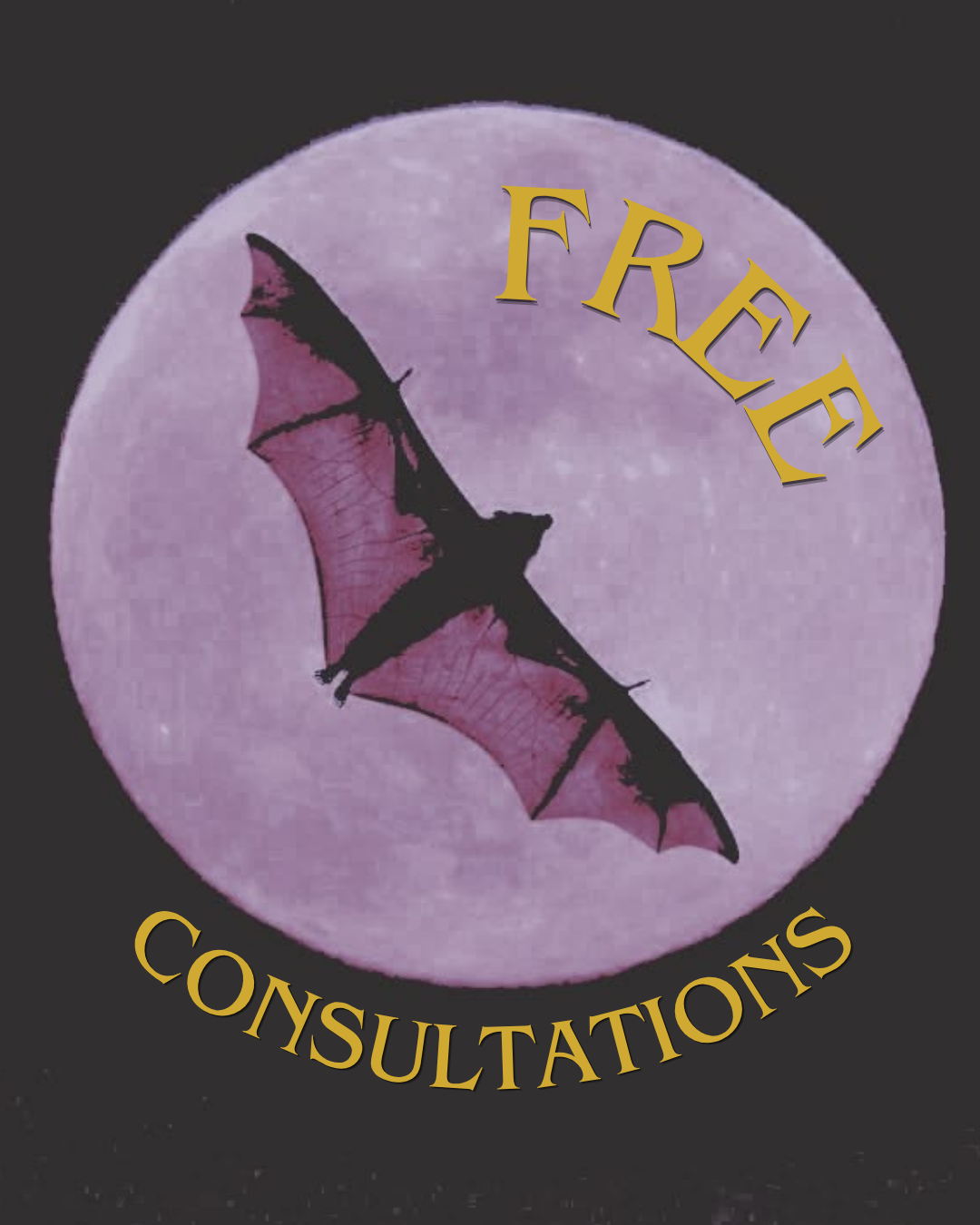 FREE consultation